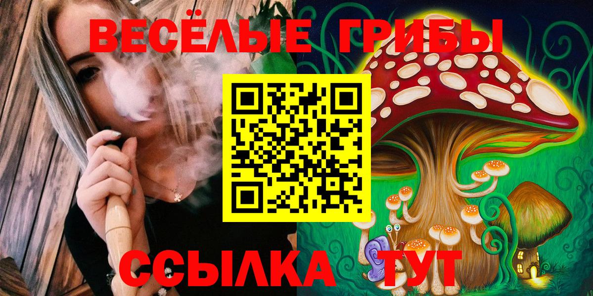 Саянск  Псилоцибиновые грибы Magic Shrooms  где найти   Вход с VPN 