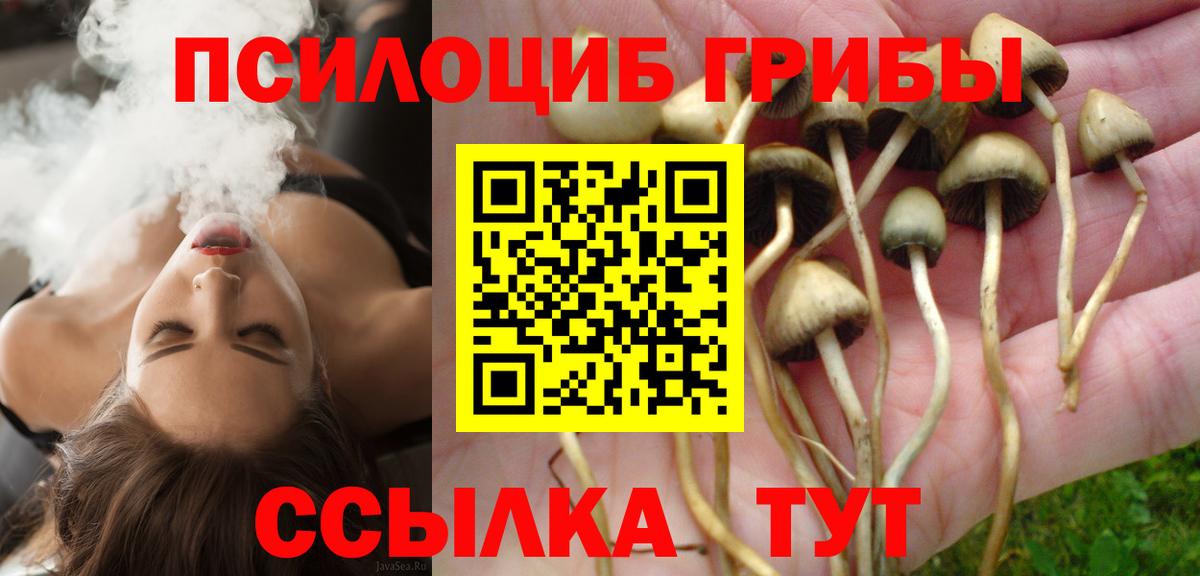 Галлюциногенные грибы ЛСД Саянск